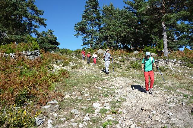 552- Descendo para a Branda da Junqueira.JPG